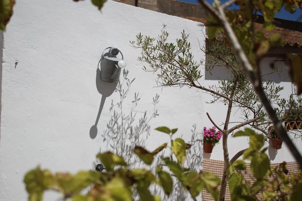 Casa Leonor Vejer Apartment Vejer de la Frontera 0*,